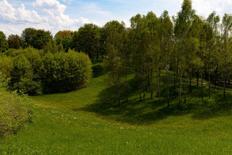 Lakefront Property Clearing in Gwinnett County, GA