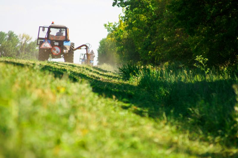 Site Clearing Service in Cumming, GA
