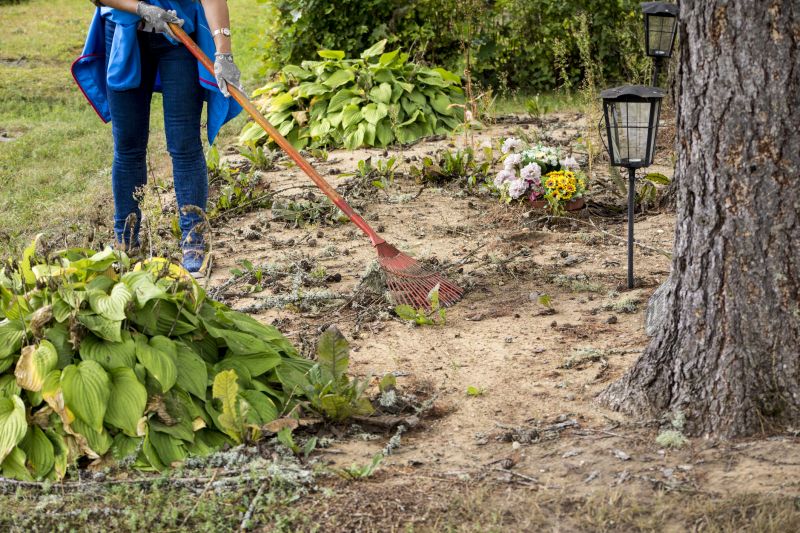 Undergrowth Removal in Utah County, UT